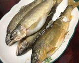 鹽烤香魚的食譜步驟3照片
