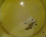 Foto del paso 10 de la receta: Camarones con salsa bechamel cremosos