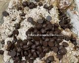 Foto langkah ke 5 dari resep Chocolate Chip Cookies.