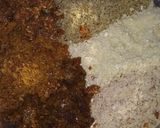 A picture of step 7 of Mix Dry Fruit Ladoo Sugar free.