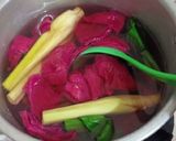 Foto langkah ke 3 dari resep Teh Herbal Kulit Buah Naga.