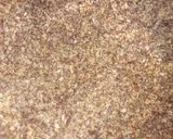 A picture of step 3 of Flax seeds laddu.