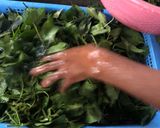 Foto del paso 2 de la receta: Caldo de getto