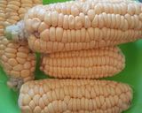 Foto langkah ke 1 dari resep Jasuke.