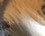Une image de l'étape 1 de Beignets tunisiens.
