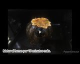 Foto del paso 4 de la receta: Zapallo relleno