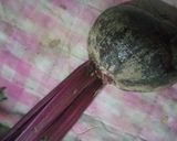 Foto langkah ke 1 dari resep Cendol kecebong buah bit.