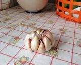 Foto del paso 3 de la receta: Guiso de lentejas veganas
