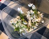 Une image de l'étape 9 de Salade reine des glaces aux tomates roses, oignons nouveaux et fleurs d'ail du jardin.