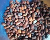 Foto langkah ke 4 dari resep SAYUR BOROS (kacang, labu kuning).