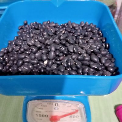 Langkah 2