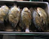 A picture of step 2 of Fried Fish on a Disc.