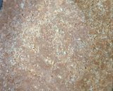 Foto del paso 2 de la receta: Tarta de Queso, en frío