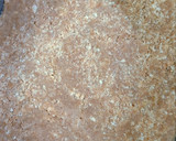 Foto del paso 2 de la receta: Tarta de Queso, en frío