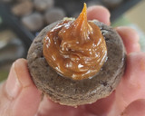 Foto del paso 5 de la receta: Alfajores tipo Havanna II💜
