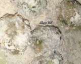 Foto langkah ke 6 dari resep CILOK KENTANG DAGING SAPI GORENG WIJEN MOM 'K2'.