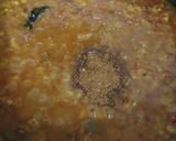 દાળ પકવાન (Dal Pakwan Recipe In Gujarati) રેસીપી સ્ટેપ6ફોટો