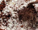 Foto langkah ke 1 dari resep Bolu Coklat.