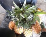 Foto langkah ke 1 dari resep Isian Nastar.