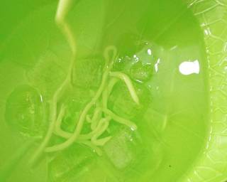 18. Es Cendol Dawet Nutrijel (Aneka Takjil) - Step 6