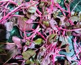 A picture of step 1 of Laal Saag/ Chaulai Saag(Red Amaranth).