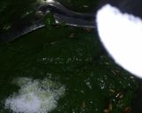 પાલક પનીર રોલ (Palak Paneer Roll Recipe In Gujarati) રેસીપી સ્ટેપ4ફોટો