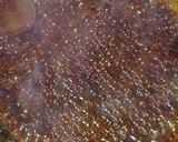 Foto del paso 6 de la receta: Caramelo líquido
