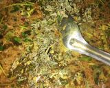 बेसन की पतोरी (besan ki patodi recipe in Hindi) रेसिपी चरण 4 फोटो