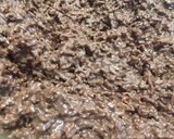 Une image de l'étape 2 de Rochers chocolat et noix de coco râpée.