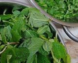 A picture of step 1 of Green chutney.