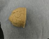 Foto del passaggio 7 della ricetta Torta della nonna
