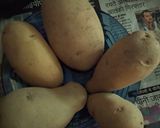 परवल आलू (parwal aloo recipe in hindi) रेसिपी चरण 1 फोटो