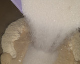 Foto del paso 3 de la receta: Stollen, pan dulce Alemán