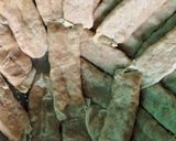 Foto langkah ke 5 dari resep Lumpia Udang Kulit Tahu.