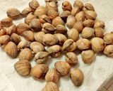 Foto del paso 1 de la receta: Berberechos a la plancha al aroma de romero