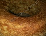 Foto langkah ke 8 dari resep Bolu pisang #menuarisan #tantanganakhirtahun.