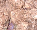 A picture of step 3 of Paneer Tikka.