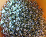 முளைகட்டிய பச்சை பயிர் சுண்டல் ரெசிபி ஸ்டேப் 1 புகைப்படம்