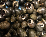 Foto del paso 2 de la receta: Percebes y bígaros cocidos