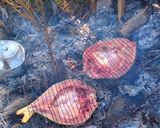 عکس مرحله 1 از دستور ✰★ماهی کبابی🐟🍛★✰