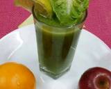 Lemony Lettuce and Apple Juice recipe step 1 photo