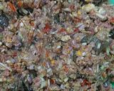 Foto langkah ke 2 dari resep Tum Daging.