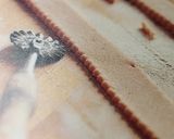 Une image de l'étape 3 de Linzer torte. Tartelette.
