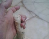 Foto del paso 7 de la receta: Pancitos Saborizados