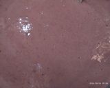 Foto langkah ke 5 dari resep Bolu kukus ubi ungu.