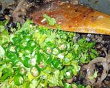 A picture of step 9 of Fried Chaat.