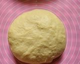Foto langkah ke 3 dari resep Salt Bread.