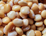 Foto del paso 8 de la receta: Lupines 🌱 Altramuces 🌱 Chochos 🌱 Tremosos 🌱 Tremoços 🌱 Frijoles de altramuz 🌱 Entremozos 🌱