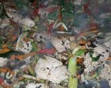 Foto del paso 17 de la receta: Salteado de pollo y verduras fácil
