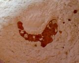 A picture of step 2 of Egg roll.